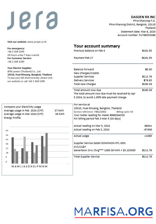 Blank Thailand JERA power business utility bill template in Word and PDF formats